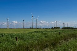 Windparkanlage zwischen grünen Wiesen bei Neßmersiel