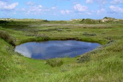 Natürlicher Teich hinter Dühnen auf Norderney