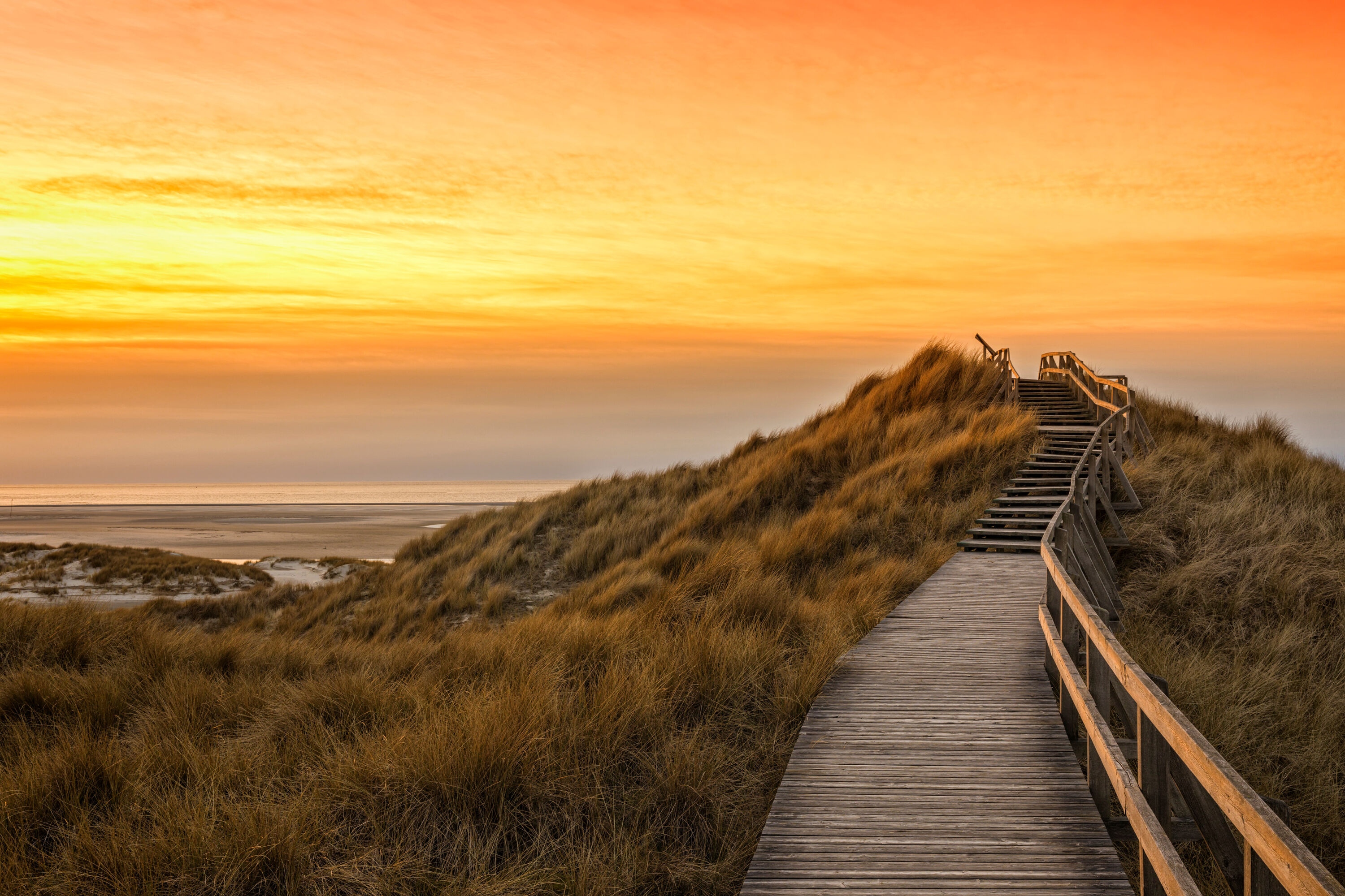 AdobeStock_1016076591-large