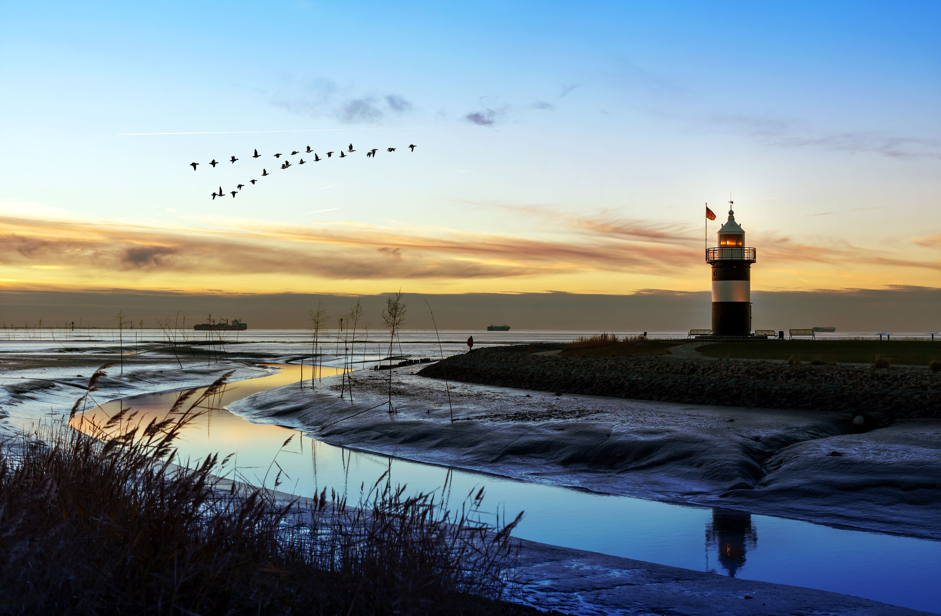 AdobeStock_236522949-large