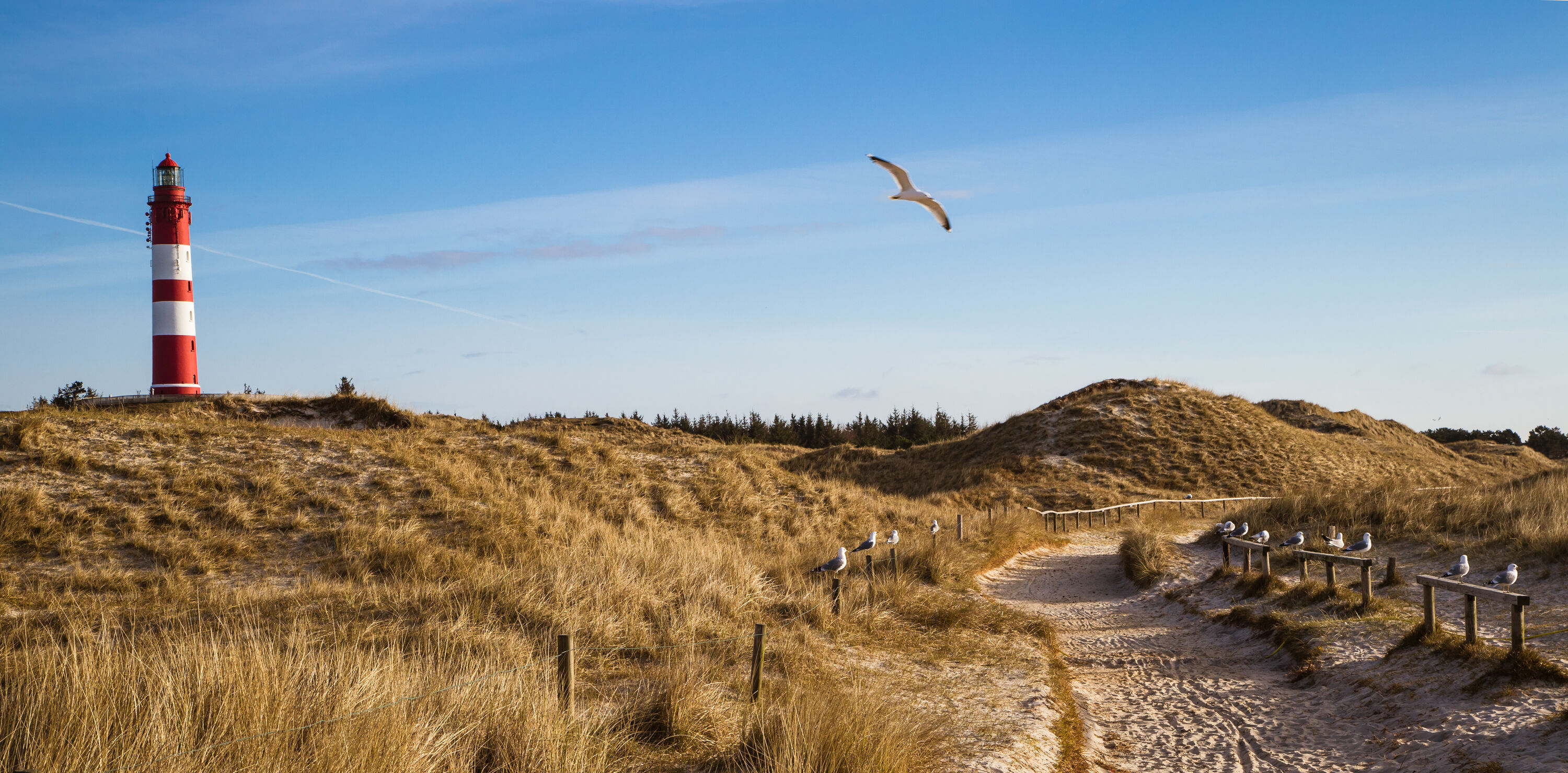 AdobeStock_84040283-large