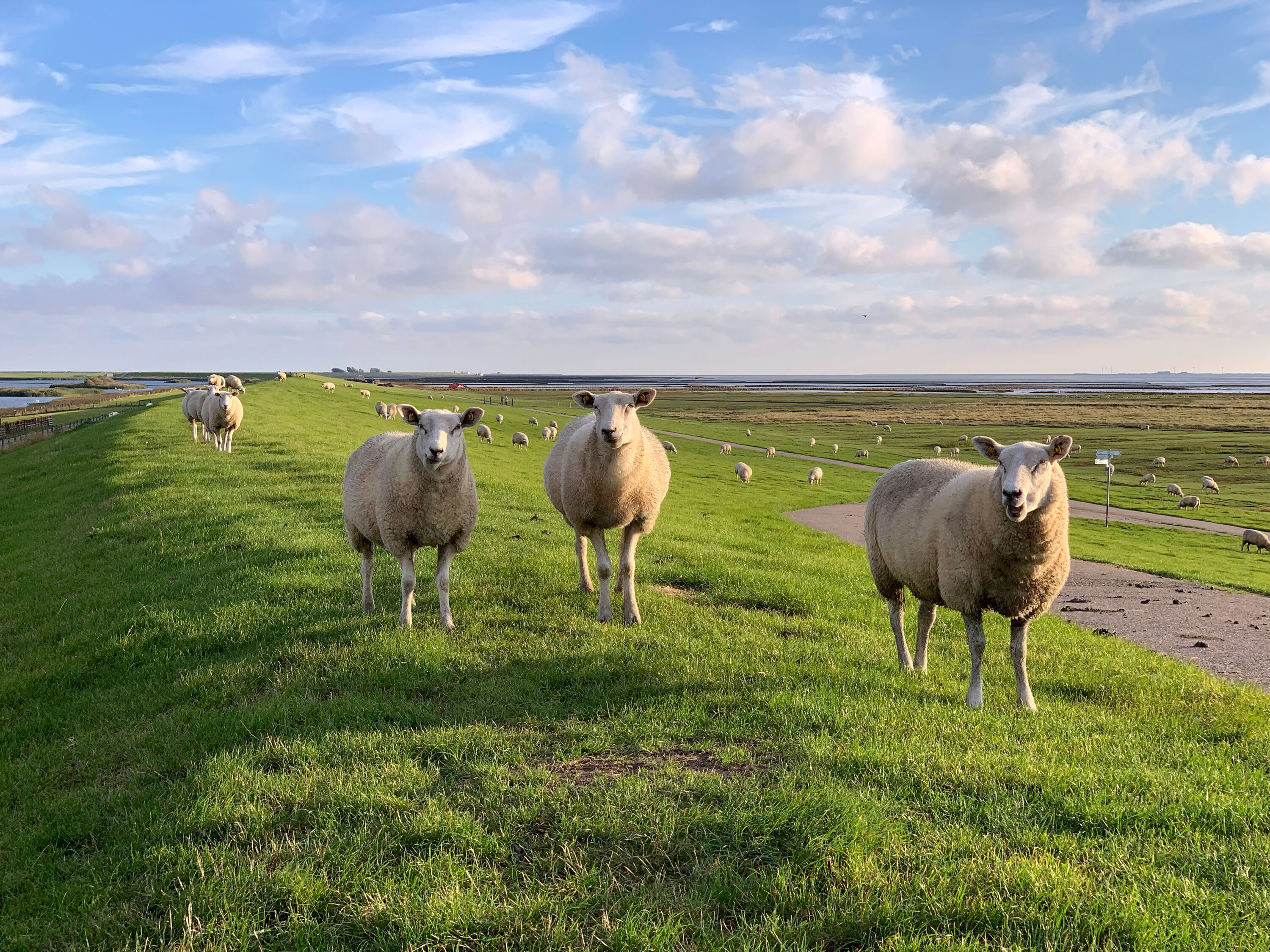 AdobeStock_462171087-large