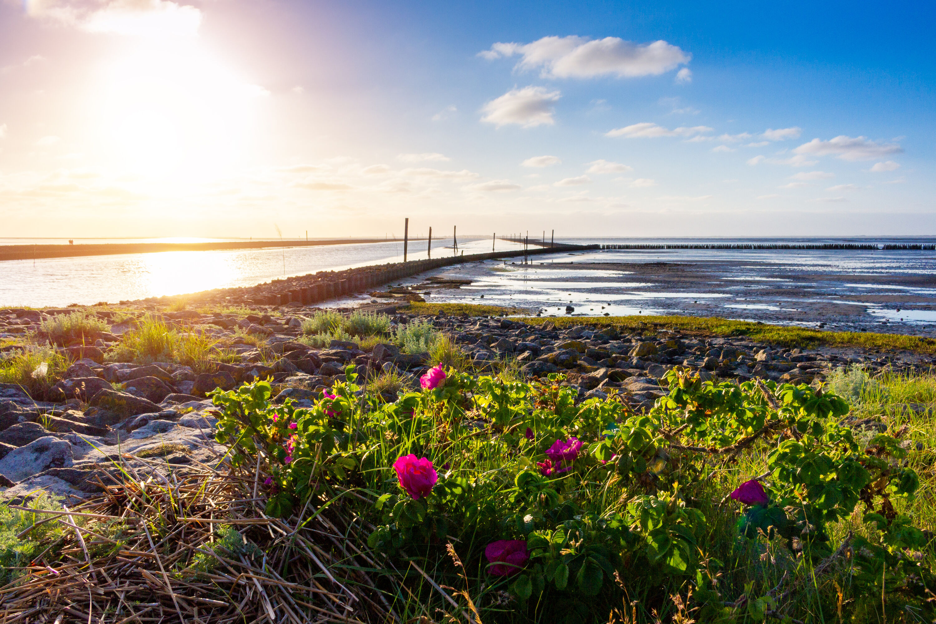 AdobeStock_405278686-large