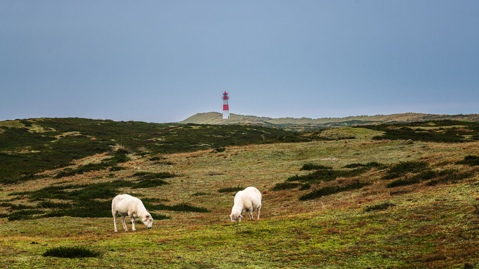 AdobeStock_729346847-medium