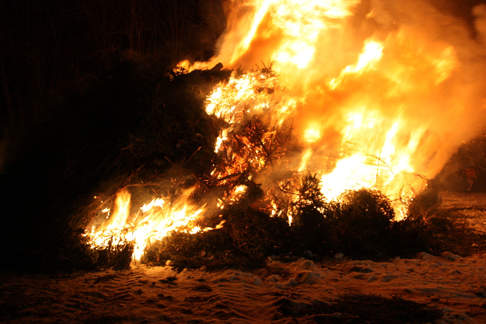 AdobeStock_131722693-medium