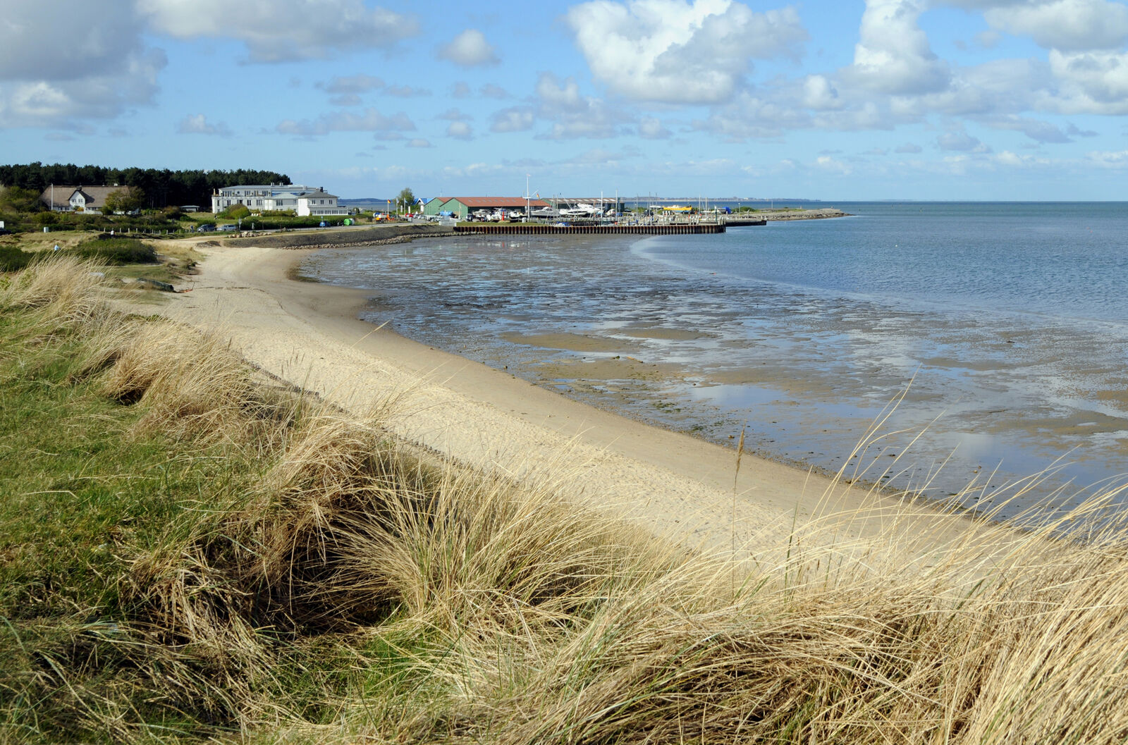 AdobeStock_22903499-medium