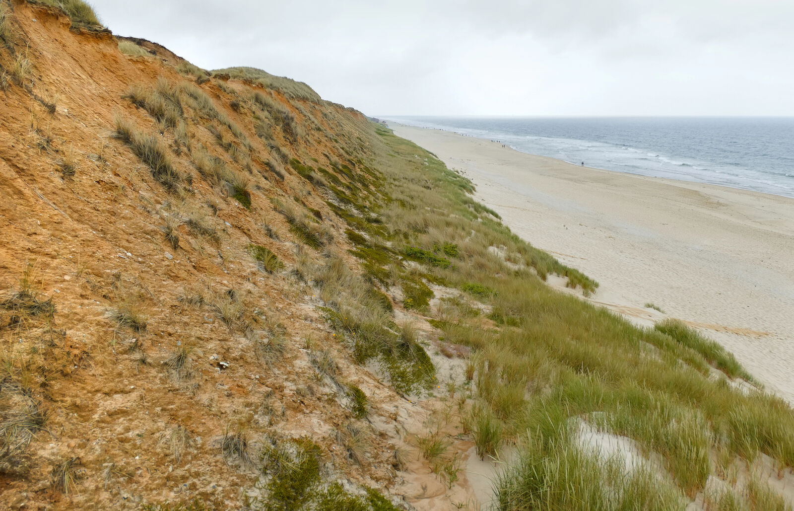 Depositphotos_550114832_XL-medium