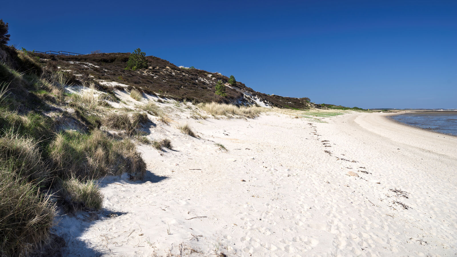 AdobeStock_205400871-medium