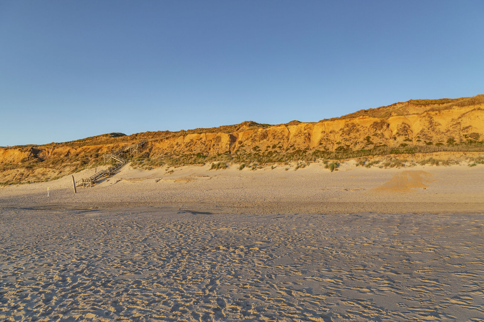 Depositphotos_348316918_XL-medium