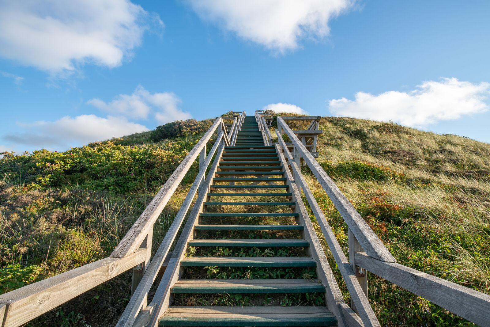 AdobeStock_427695473-medium