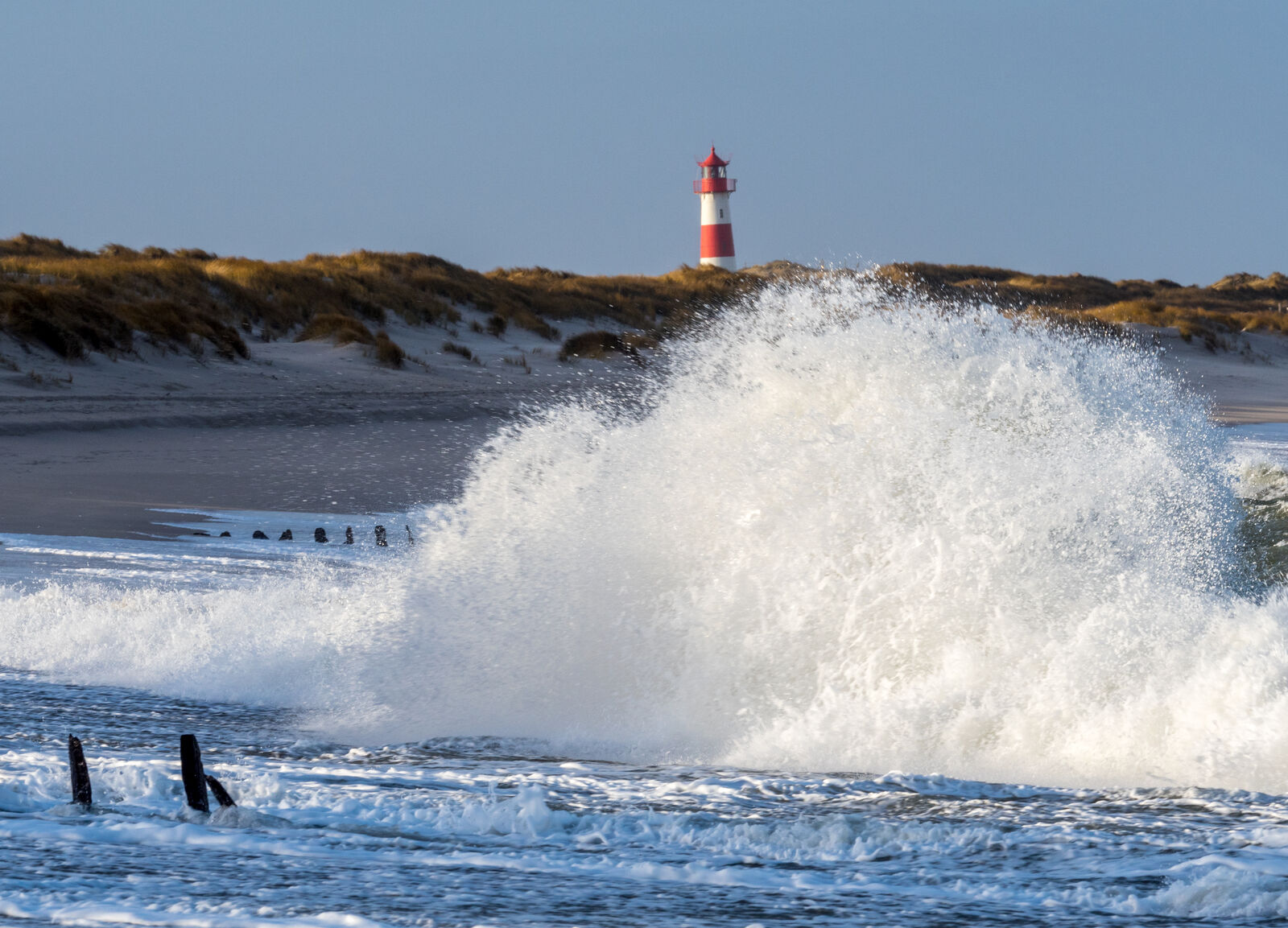 AdobeStock_550062764-medium