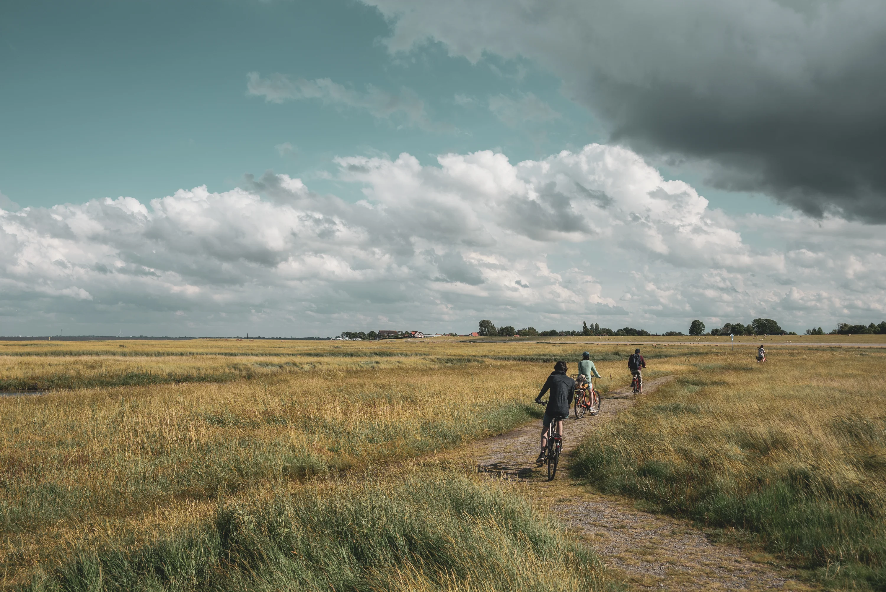 AdobeStock_406985912-preview