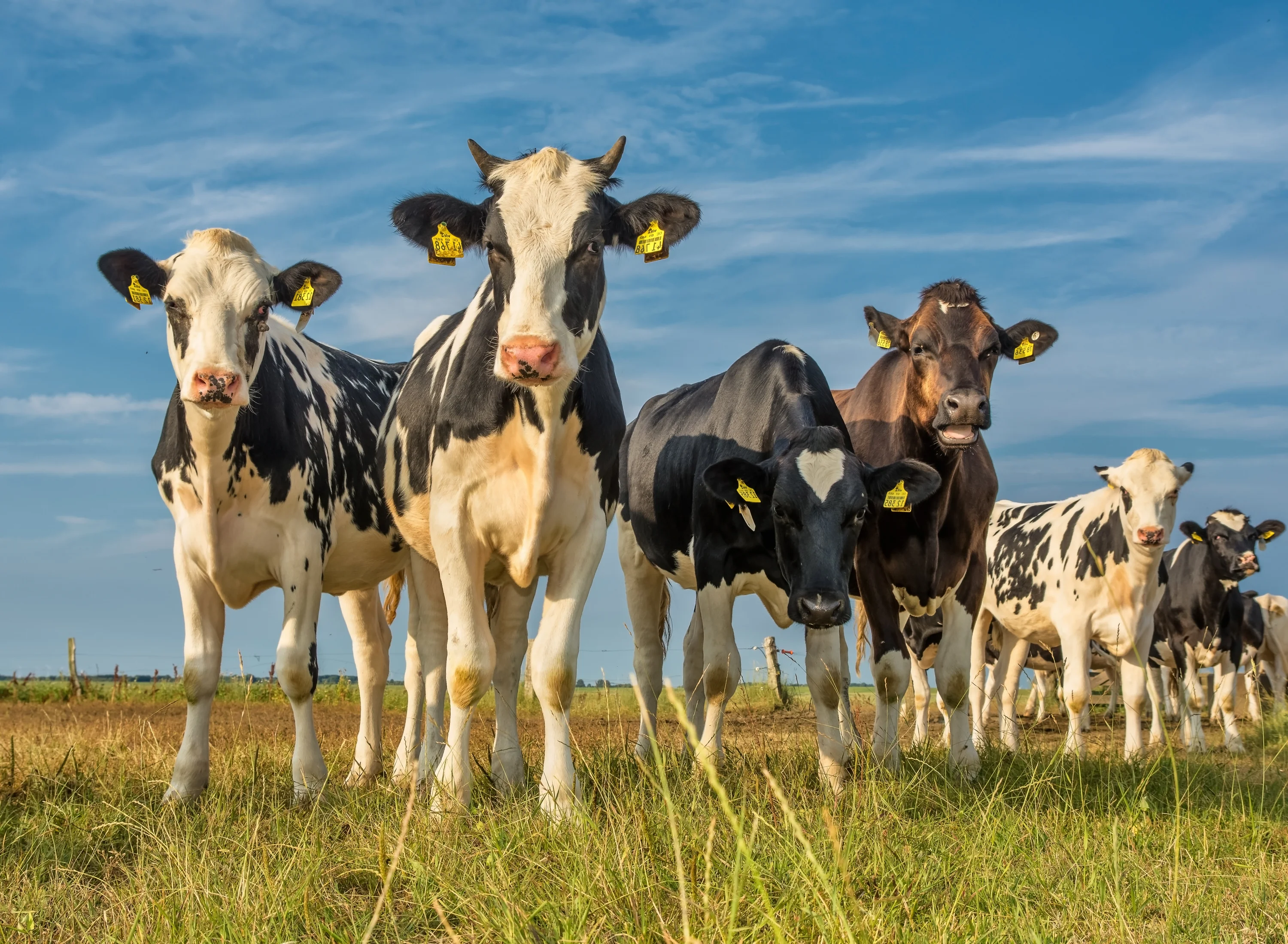 AdobeStock_491957310-preview