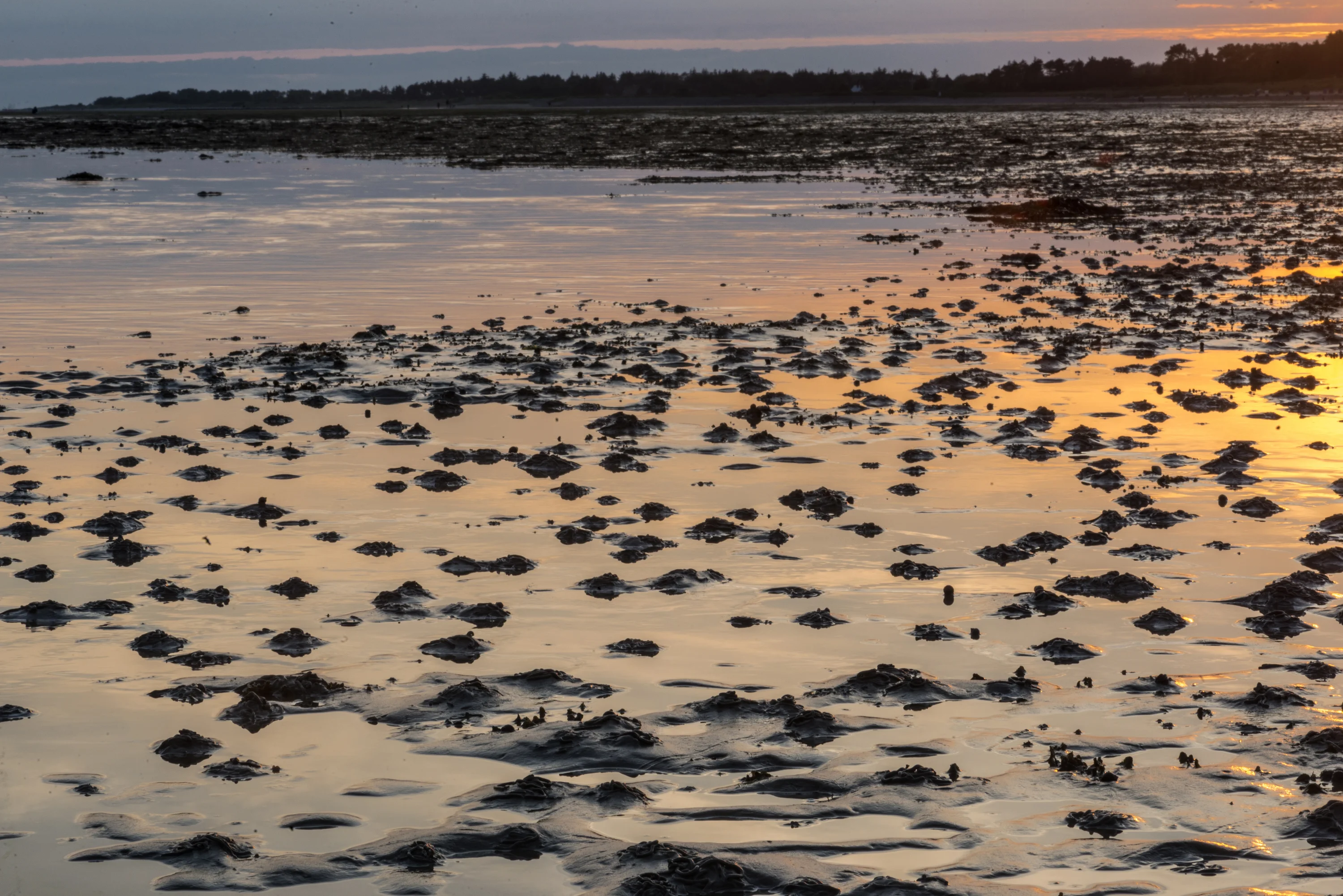 Depositphotos_449946534_XL-preview