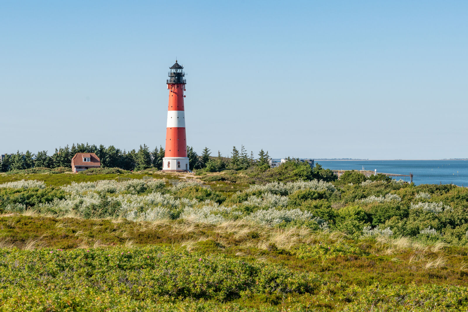 AdobeStock_428239780-medium