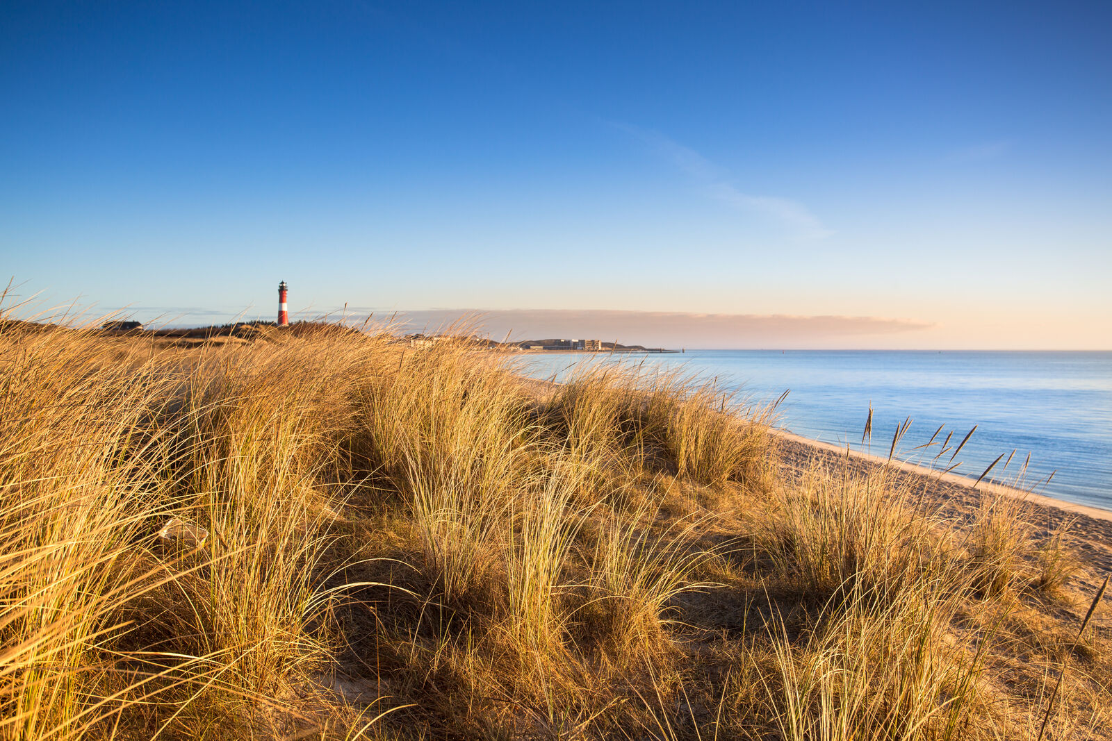 AdobeStock_162775084-medium