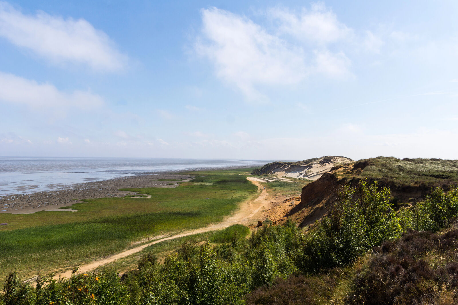 Depositphotos_234525138_XL-medium