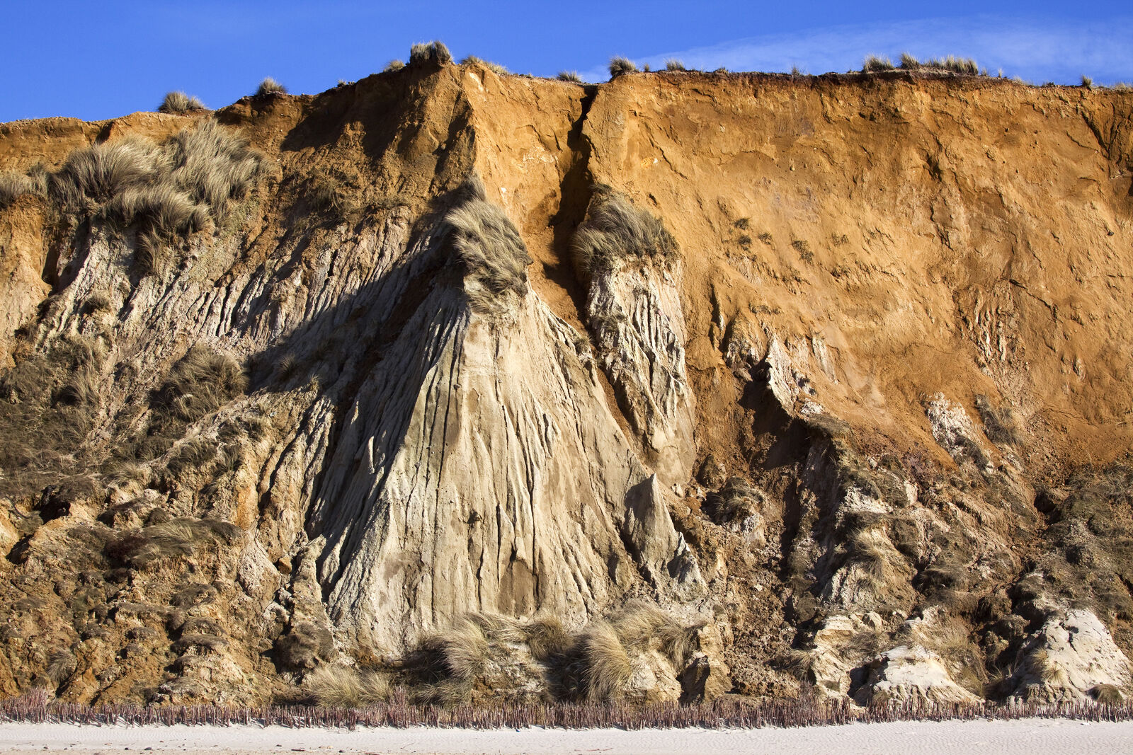 Depositphotos_335350464_XL-medium