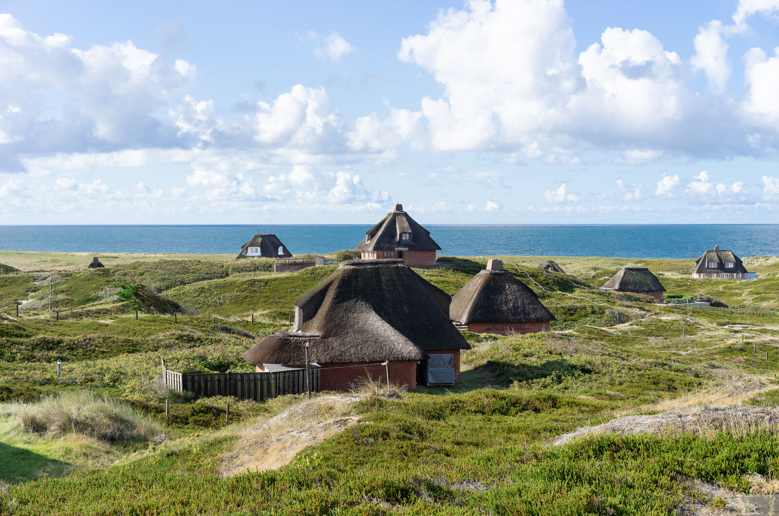 AdobeStock_651632767-medium