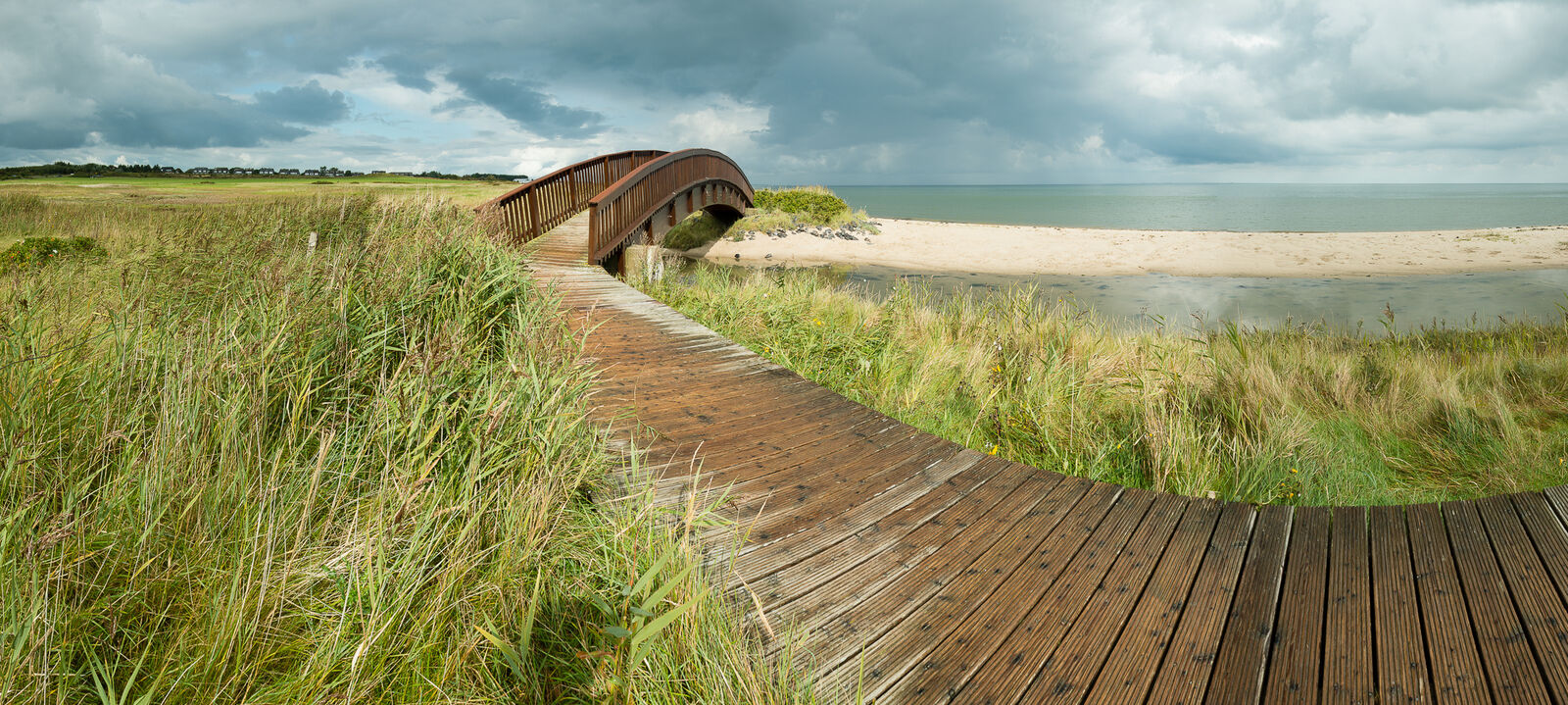 AdobeStock_278789558-medium