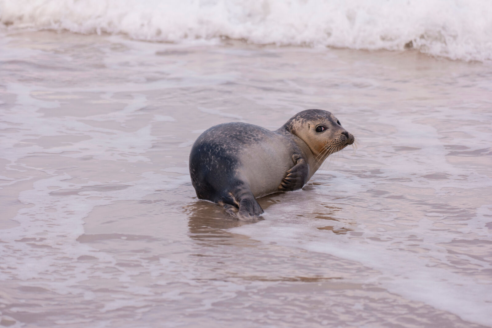 AdobeStock_133494373-medium