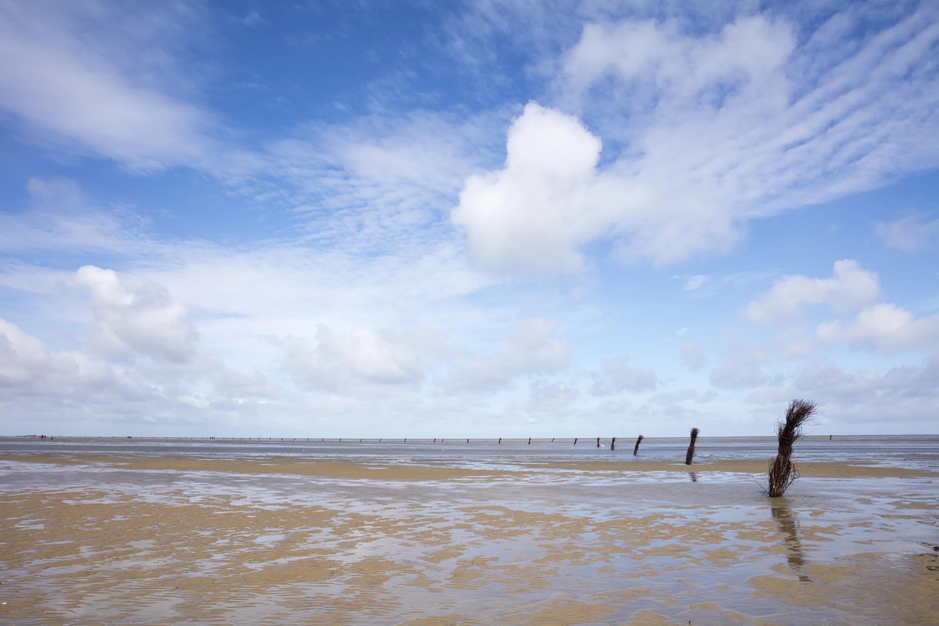 Depositphotos_587880310_XL-preview