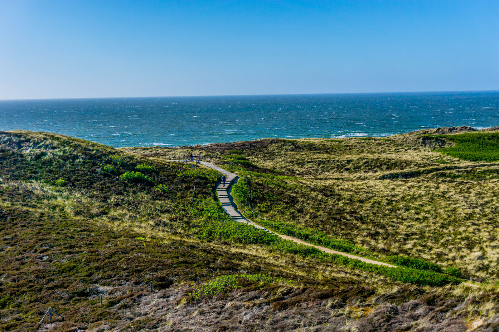 AdobeStock_271826597-medium