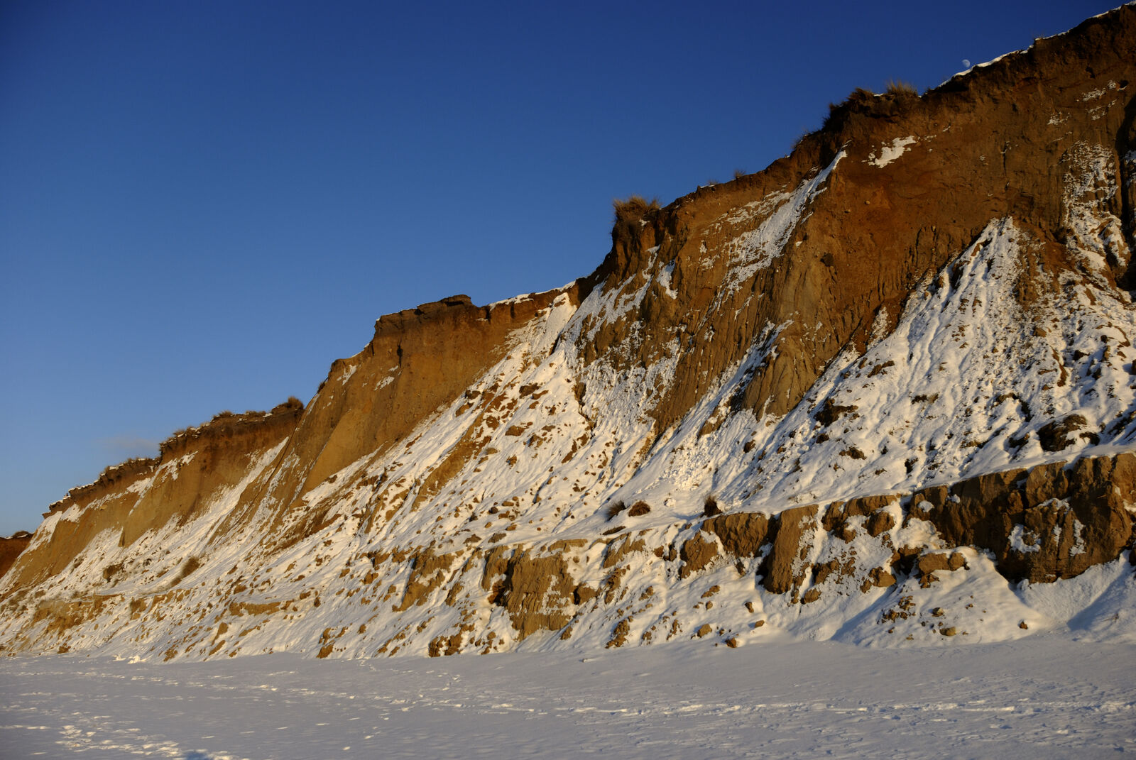 Depositphotos_337075688_XL-medium