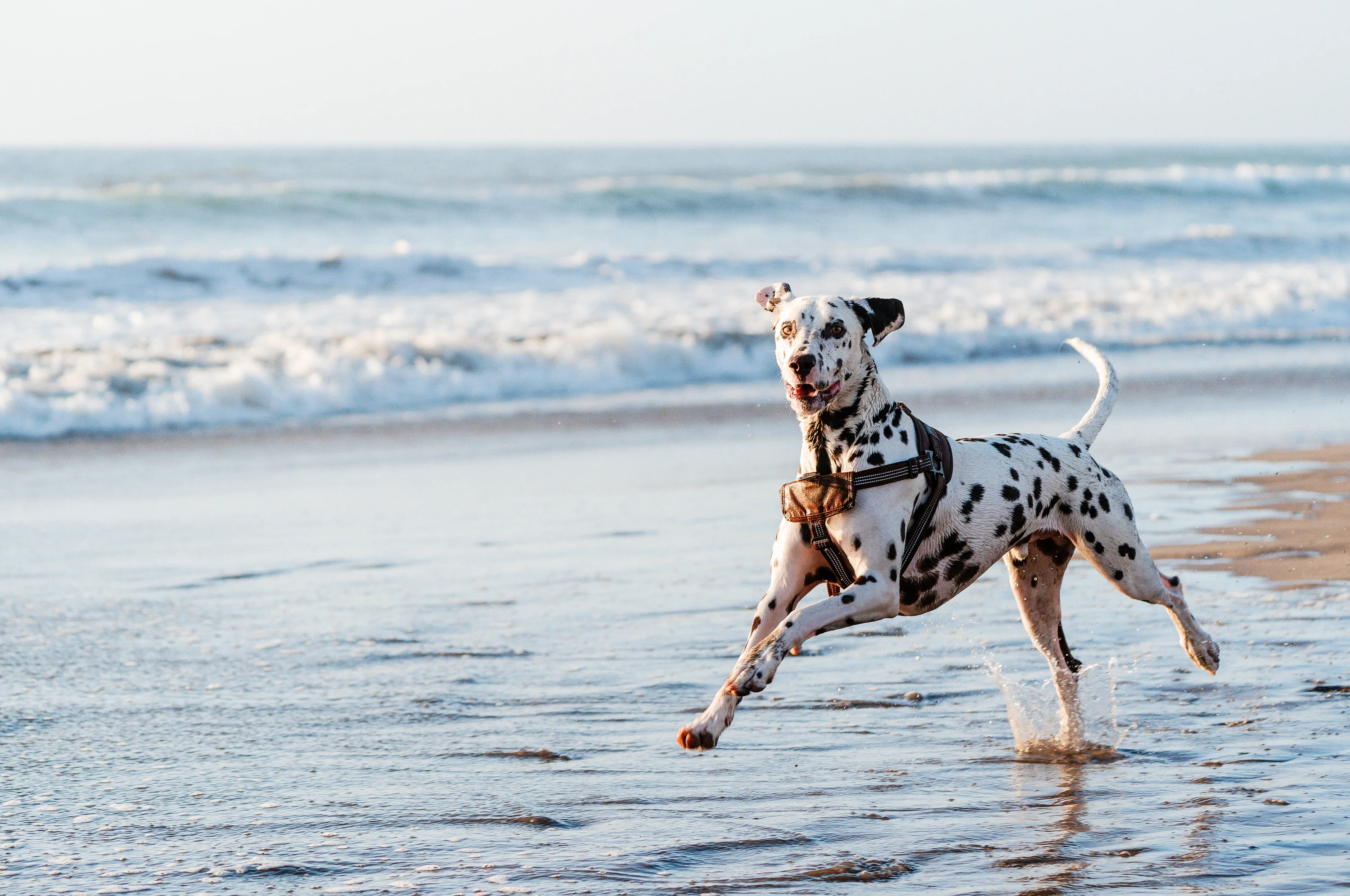 AdobeStock_472915605-preview