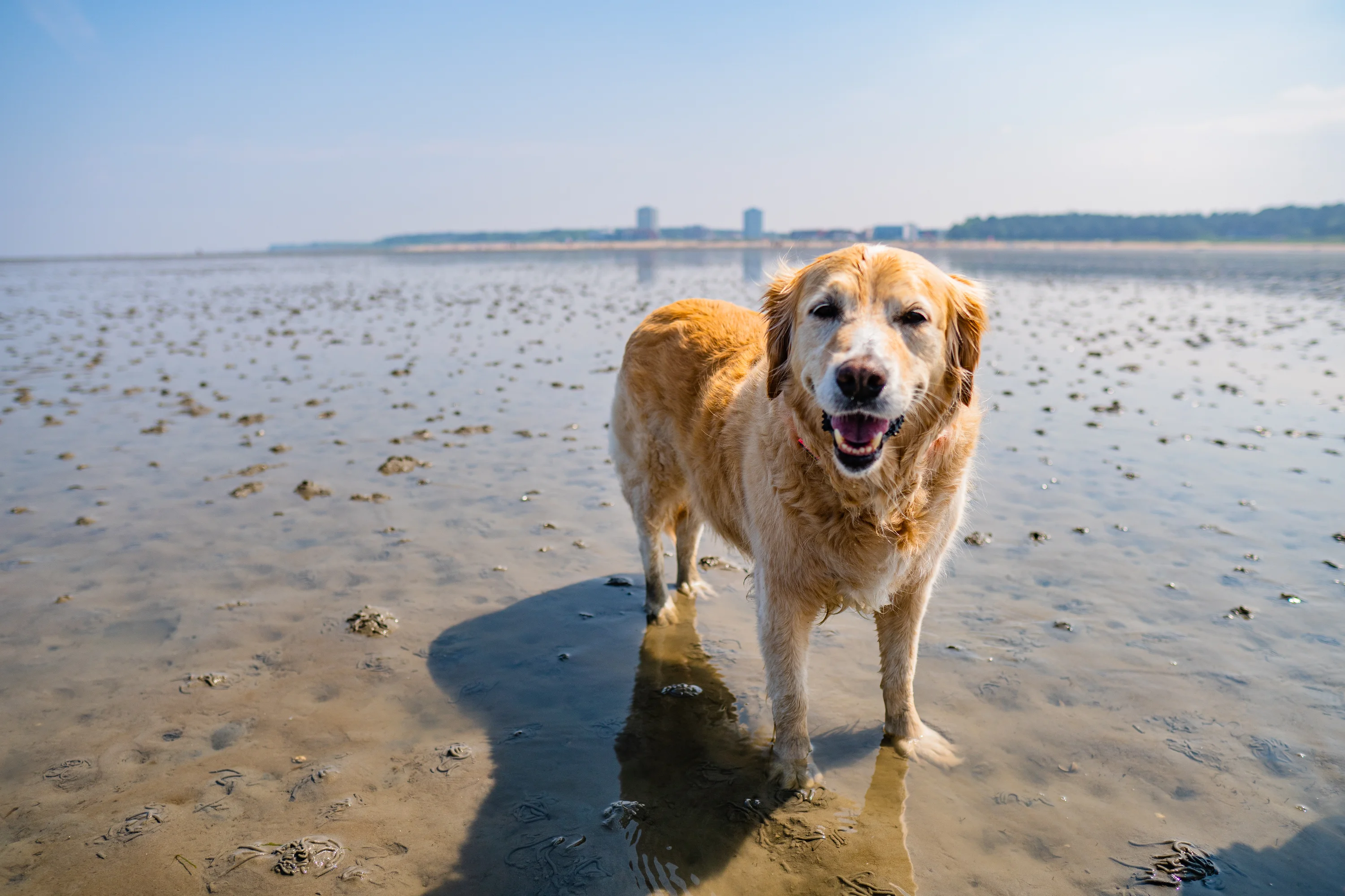 AdobeStock_444785246-preview