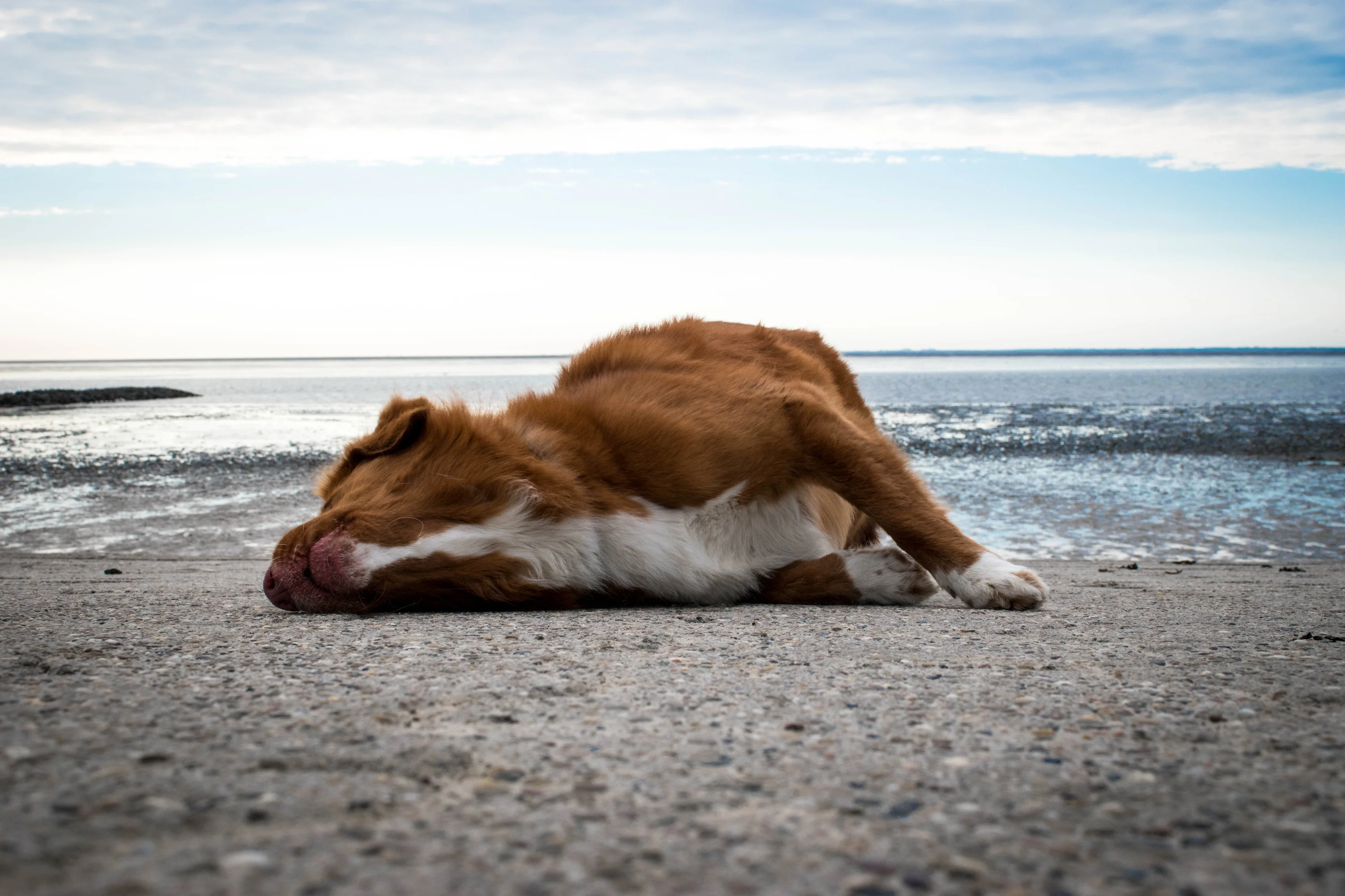 AdobeStock_242892414-preview (1)