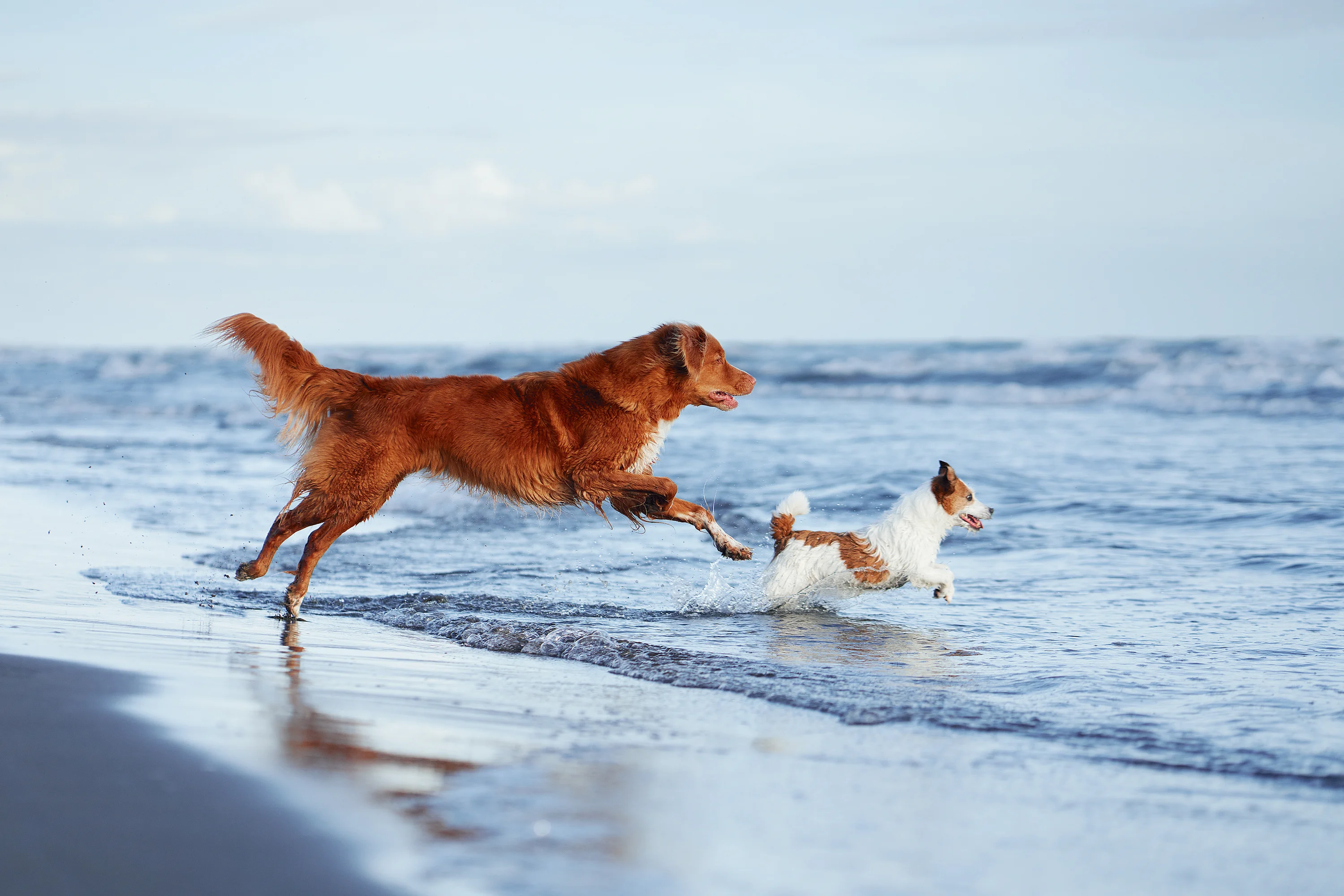 AdobeStock_613787140-preview