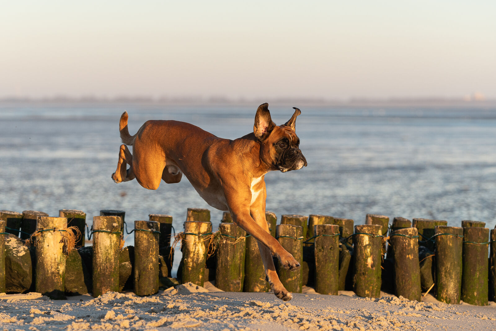 AdobeStock_499125038-medium