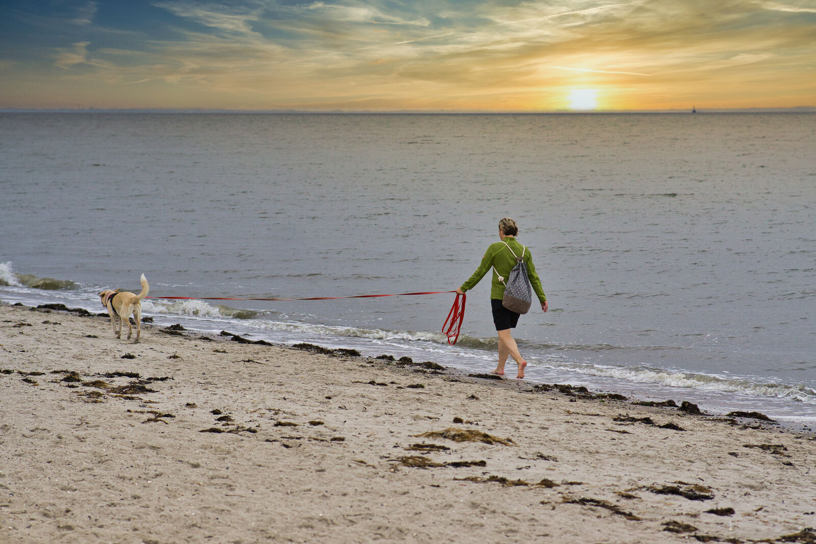 AdobeStock_384539636-medium