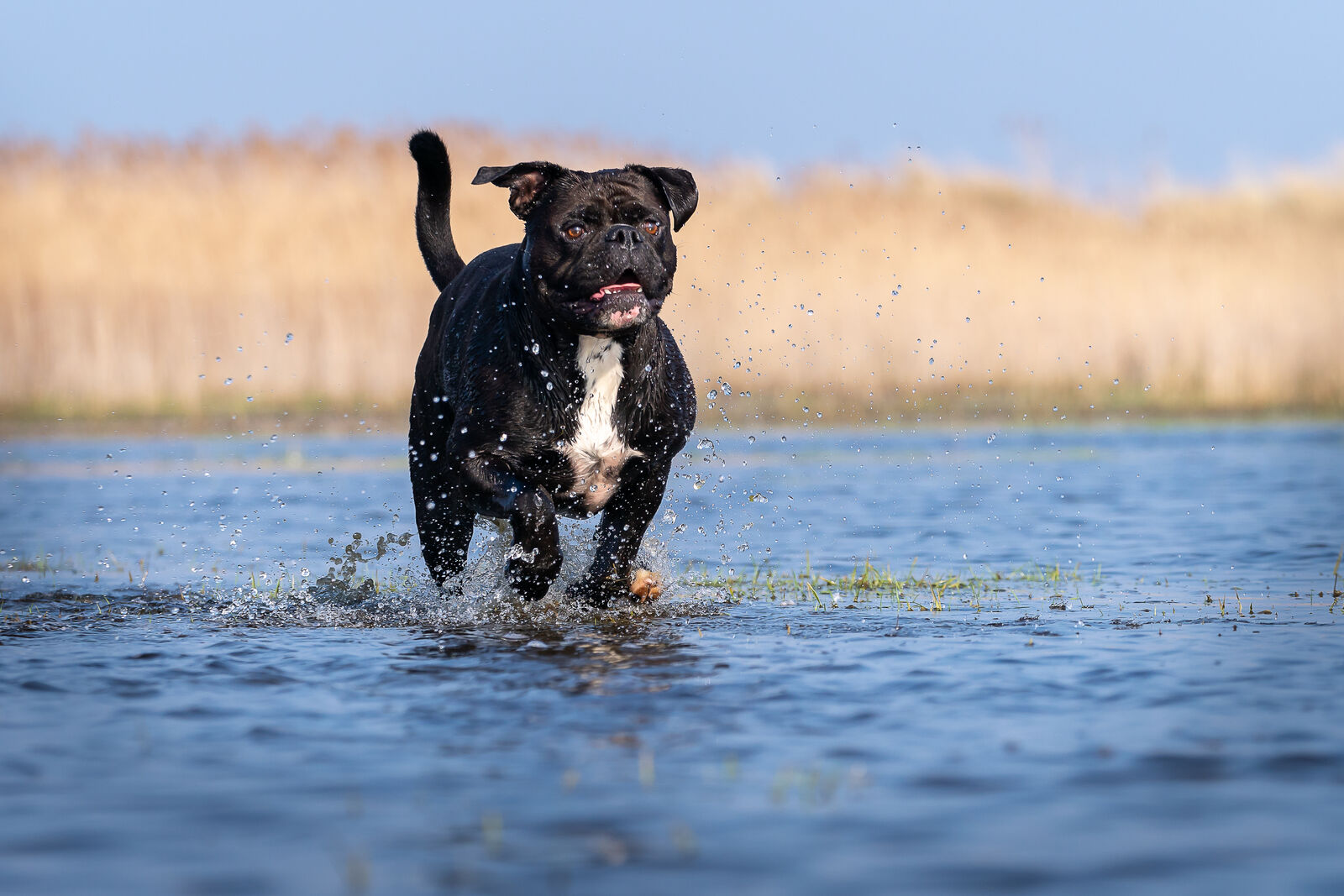 AdobeStock_499125210-medium